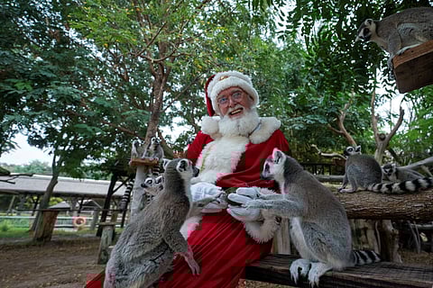 Dubai Safari Park announces first-ever Festive Village experience