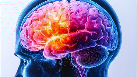 The team also showed that the decline in NAD+ is even more severe in the brains of people with Alzheimer's, and that this also occurs in mouse models of the disease.