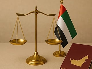 The authority was given a broad mandate, including setting national strategies, unifying databases and strengthening coordination between security, health and awareness bodies. 