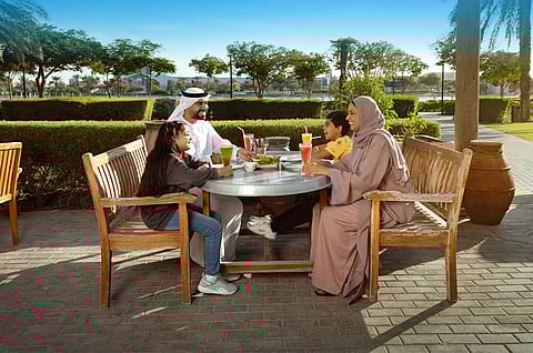 New Year 2026 in Dubai: Major parks open late for celebrations