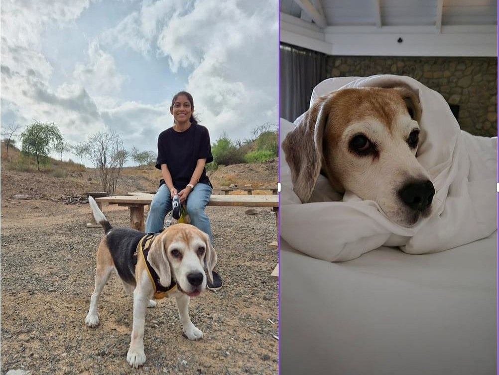 Indian woman in Dubai brings hope for senior dog care