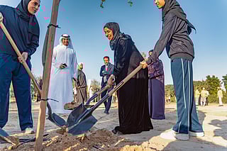 Dubai announces 20,000-tree planting initiative
