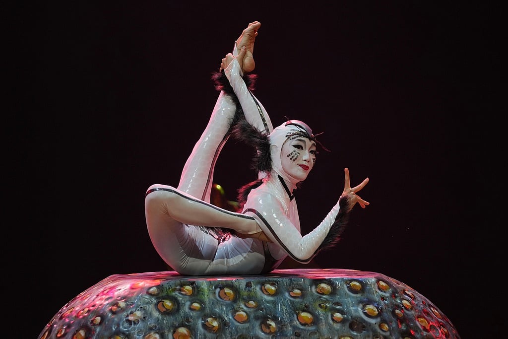Acrobats from Cirque du Soleil rehearse for the show entitled 'Ovo' at The Royal Albert Hall, in London, Thursday, Jan. 8, 2026. (AP Photo/Kin Cheung)