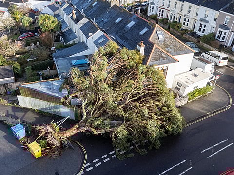 A fallen tree in Falmouth, south west England, Friday January 9, 2026, as storm Goretti continues to batter the UK with people across the country facing widespread power cuts, travel disruption and school closures. 