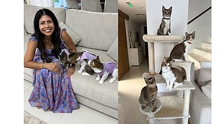 Bel Thomas shares her story of how she joined the coordinated effort to save the cats in the community. 