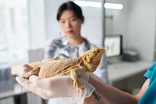 Picture used for illustrative purposes. 