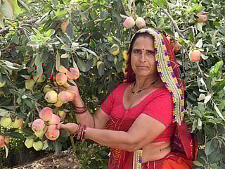 Through years of experimentation, perseverance and chemical-free farming, Santosh Devi transformed dry land into a productive orchard.