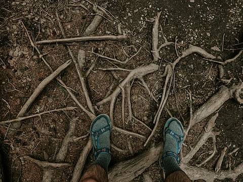 Today, the lowest temperature recorded in the Emirates was 0.2°C on Jais Mountain (Ras Al Khaimah) at 5.45am.