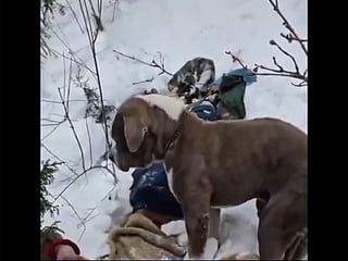 For four long days and nights, the faithful companion had not eaten.