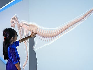 Glendale International School Dubai offers the British curriculum.