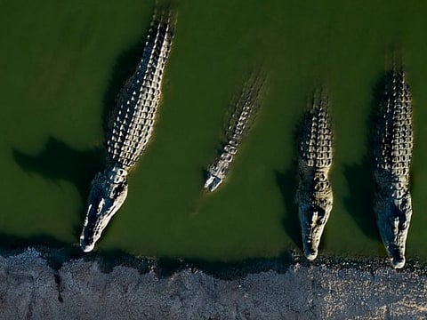 A group of displaced people sleep on the floor at an emergency shelter in the town of 3 De Fevereiro, Mozambique, on January 27, 2026. 
