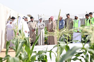 Farm inspections continue across Sharjah