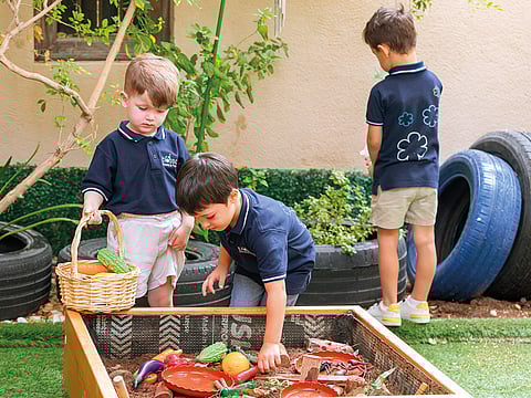 Blossom Nursery: Building strong foundations through sustainable education 