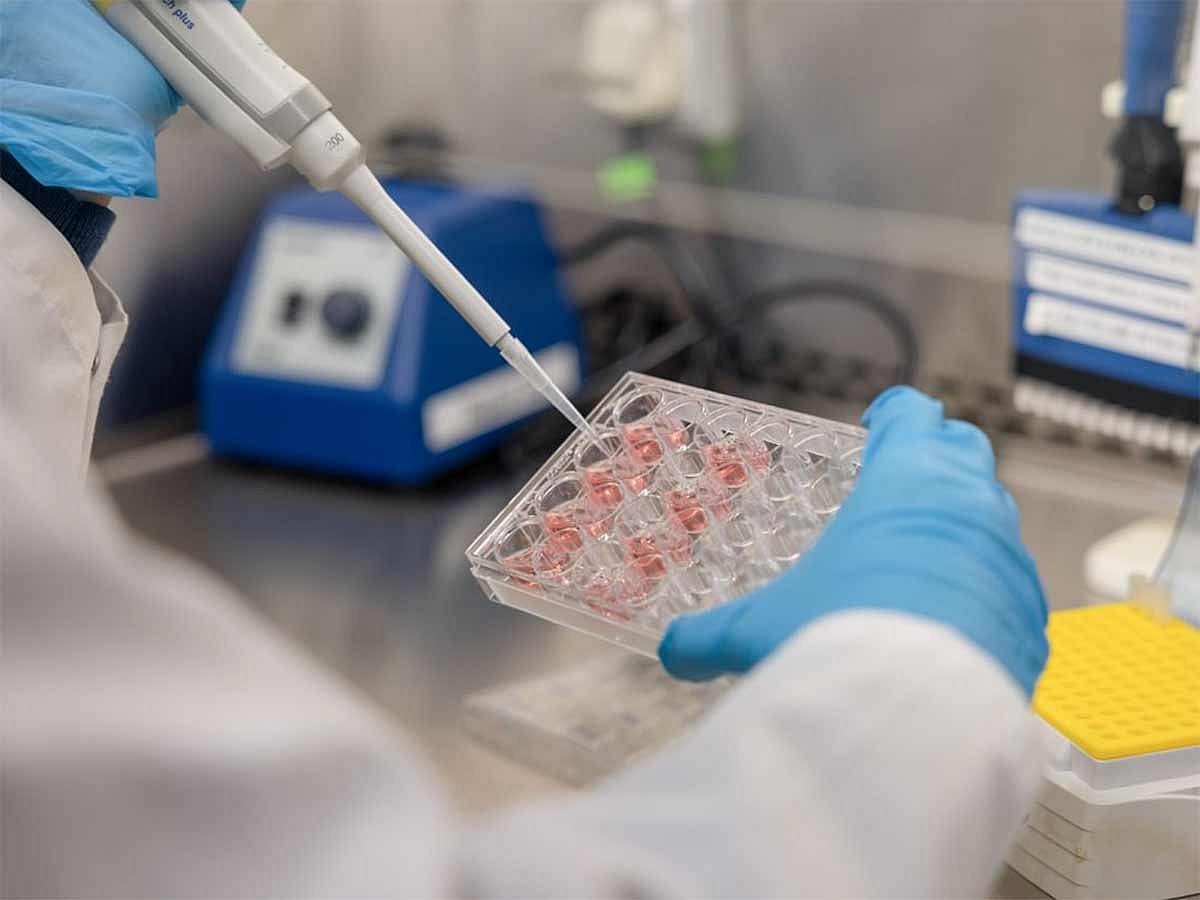 NYU Abu Dhabi develops light-based cancer therapy