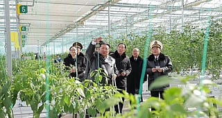 North Korean leader Kim Jong-un  attended the ceremony inaugurating the Sinuiju Combined Greenhouse Farm the previous day, around one year after the groundbreaking ceremony was held in February 2025.