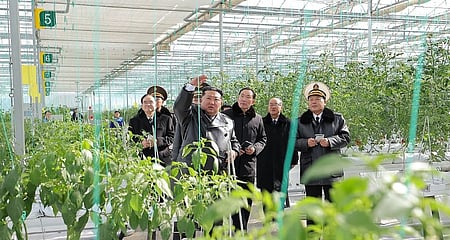 North Korean leader Kim Jong-un  attended the ceremony inaugurating the Sinuiju Combined Greenhouse Farm the previous day, around one year after the groundbreaking ceremony was held in February 2025.