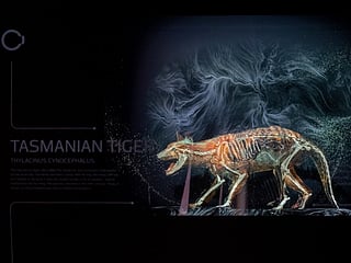 The images shared by Sheikh Hamdan featured the woolly mammoth (Mammuthus primigenius) an extinct species of mammoth, Tasmanian tiger, an extinct species of carnivorous marsupial and dodo (Raphus Cucullatus), an extinct flightless bird that was endemic to Mauritius.