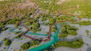 Abu Dhabi: New marine move after meeting fishing target