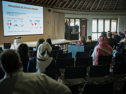 SICFAB 2026: Experts tackle seabird rescue and invasive species threats