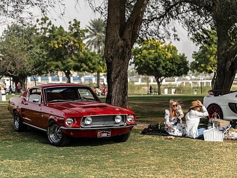 Now in its fifth year, the family-friendly event is back