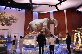 The Abu Dhabi Natural History Museum offered visitors a breathtaking journey through billions of years of Earth’s history, bringing together rare fossils, meteorites and lifelike wildlife displays under one roof.