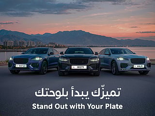 Authorities pledge fairness, transparency and simplified access for buyers.