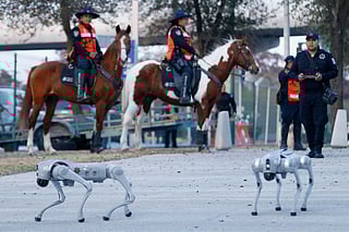 Two K9-X robot dogs walk during a presentation by Mexican police at the BBVA Stadium in Monterrey, Mexico, on February 11, 2026.