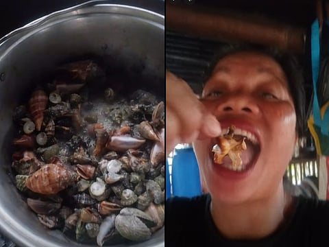 Heat-resistant neurotoxins in reef crab linked to fatal poisoning case.