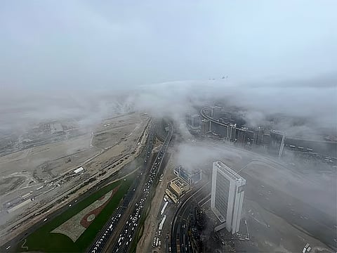 Scorpion Season Brings Gradual Weather Transition to UAE