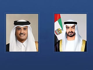 UAE President and Emir of Qatar discuss fraternal ties
