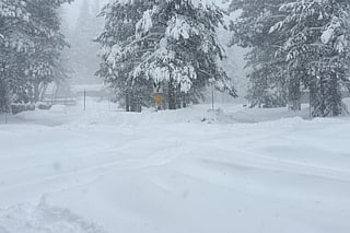 Snow falls on Tuesday, Feb. 17, 2026 in Truckee California.