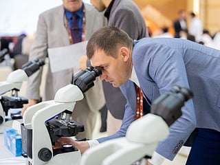 Fujairah makes record with honey pollen workshop