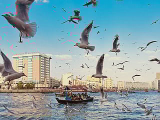 A serene view of Dubai Creek captures the city’s heritage and evolving skyline in perfect harmony, captured by Harinath Vinu.