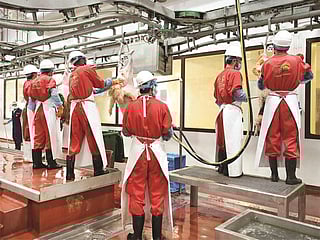 Maintenance work has been completed across equipment and facilities, while additional skilled butchers have been deployed to support operations. 