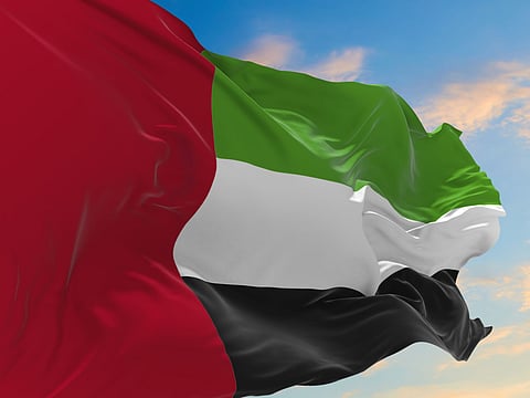 UAE, other Arab countries stand against controversial US envoy statements backing Israeli control