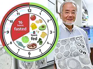 The science behind fasting: Some shocking findings