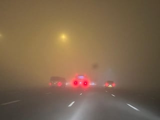 Weather update: Dense fog blankets UAE roads