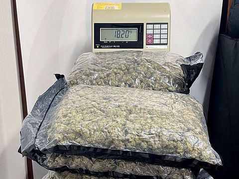 X-ray systems and trained inspectors help foil major smuggling attempt.