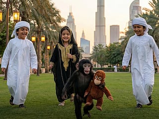 Punch the Monkey in the UAE