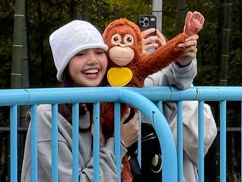Instagram stories of Blackpink's Lisa gave smiles to fans as she brought an orangutan plush toy similar to Punch 