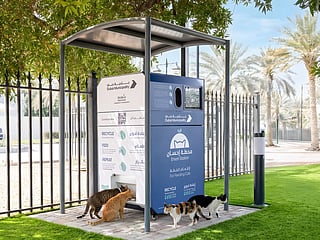 Dubai launches ‘Ehsan Stations’ to feed stray animals