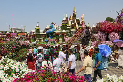 UAE residents made the most of free entry to Dubai Miracle Garden, flocking to the popular attraction to enjoy its vibrant floral displays. The initiative, aimed at giving families and visitors a chance to unwind, drew large crowds throughout the day. Visitors explored themed installations, took photos and spent time outdoors amid pleasant weather.  