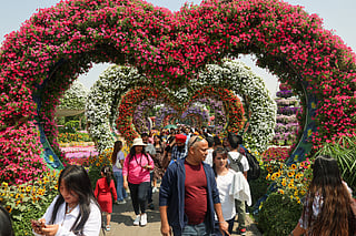 Residents can visit the garden for a discounted rate of Dh52.50 until March 31.
