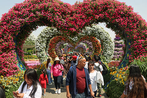 Residents can visit the garden for a discounted rate of Dh52.50 until March 31.