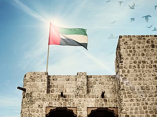 UAE flag