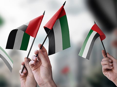 UAE flag rules explained: Misuse could mean a fine of up to Dh500,000

