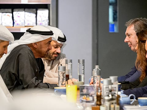 UAE and Serbian Presidents discuss bilateral relations and regional developments