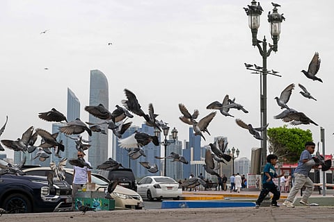Abu dhabi skyline