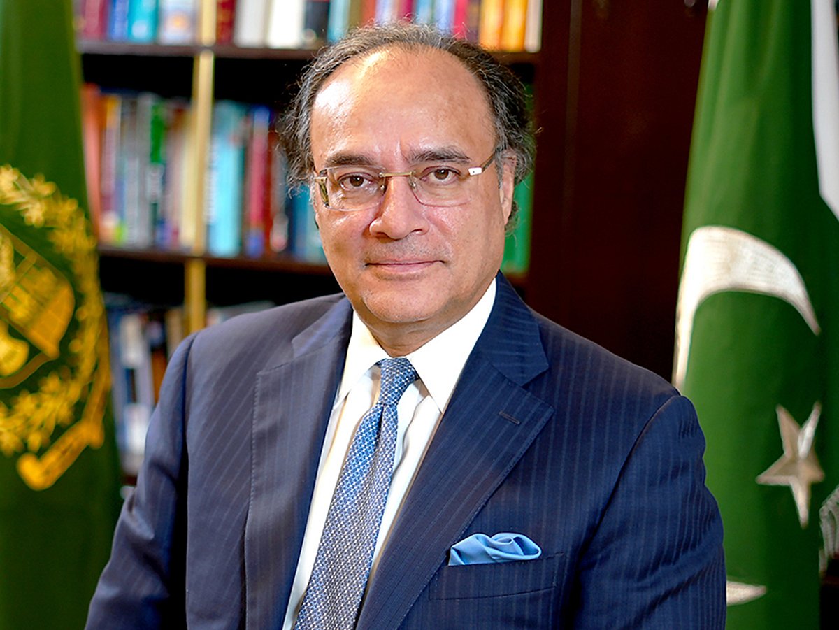 Muhammad Aurangzeb, Minister of Finance