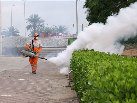 Sharjah launches campaign to disinfect rainwater pools after recent showers